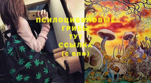 spice Беломорск