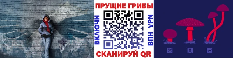 Псилоцибиновые грибы мицелий  Сковородино 